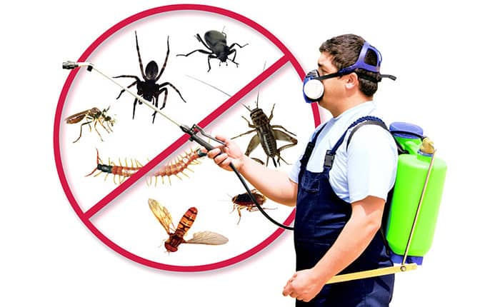 Pest Control Professionals