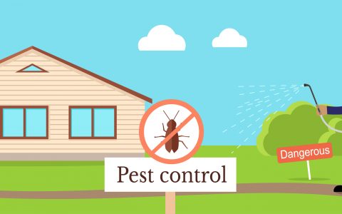 pest control during monsoon season