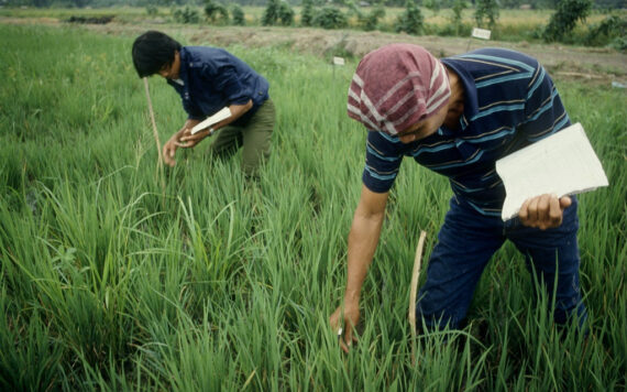 What Are The Basic Concepts of Integrated Pest Management?