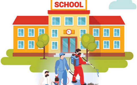 Pest Control in School and its Significance