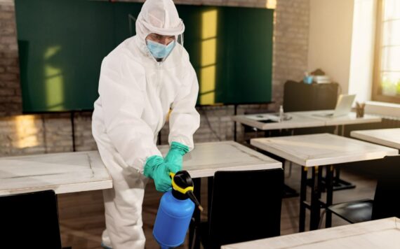 How Can Pest Management Help Businesses Maintain Cleanliness And Hygiene?