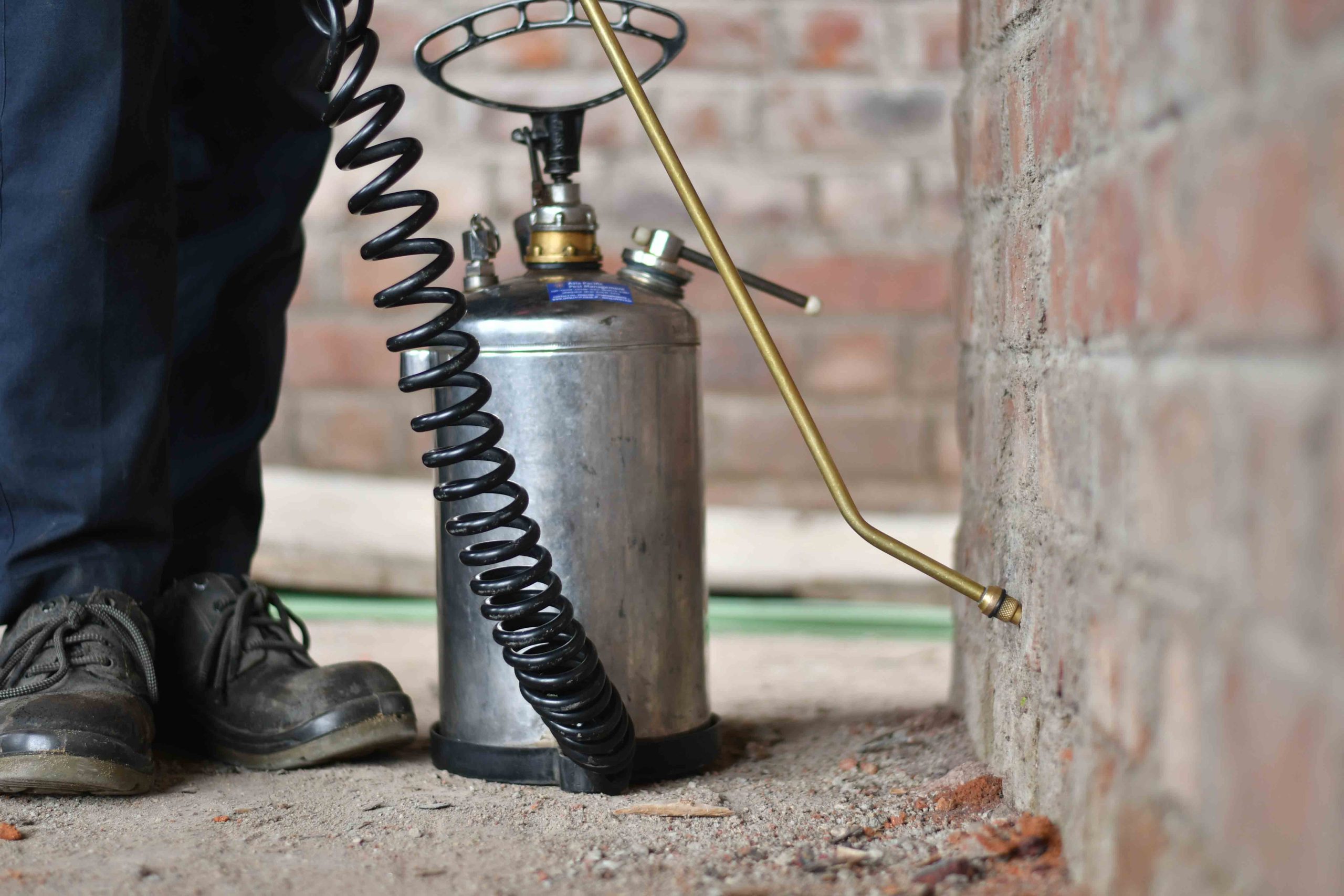 Pest Control Injection System Mites Control Services – Asia Pacific Pest Management