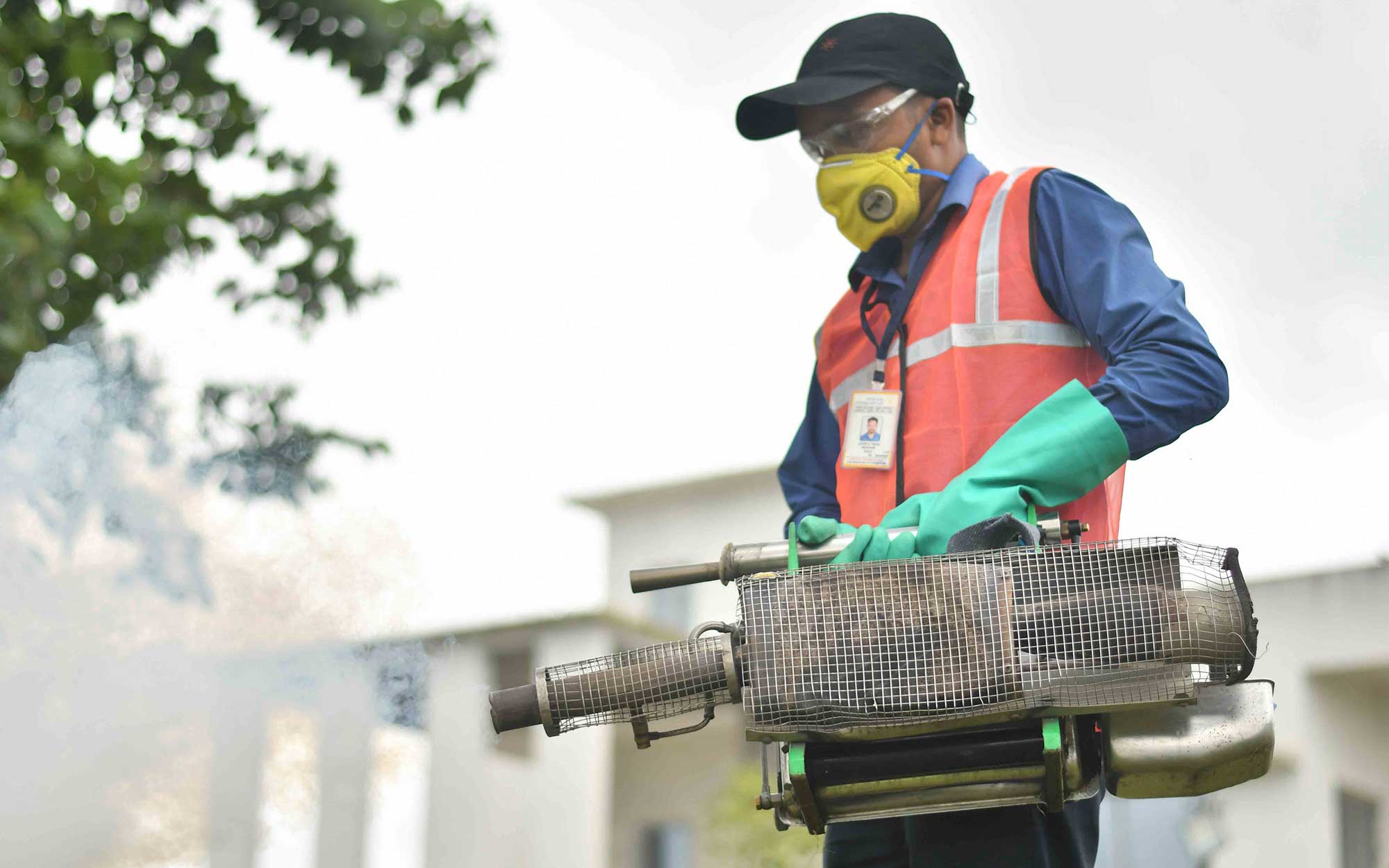 Asia Pacific Pest Management | APPM