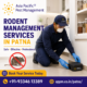 Rodent Management Services in Patna